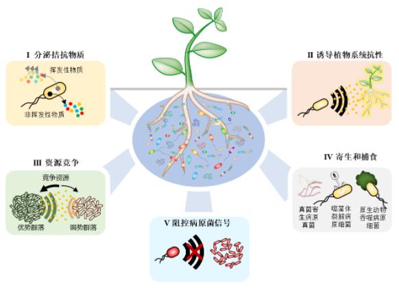 空气污染与抑郁症 调查显示或存在关联